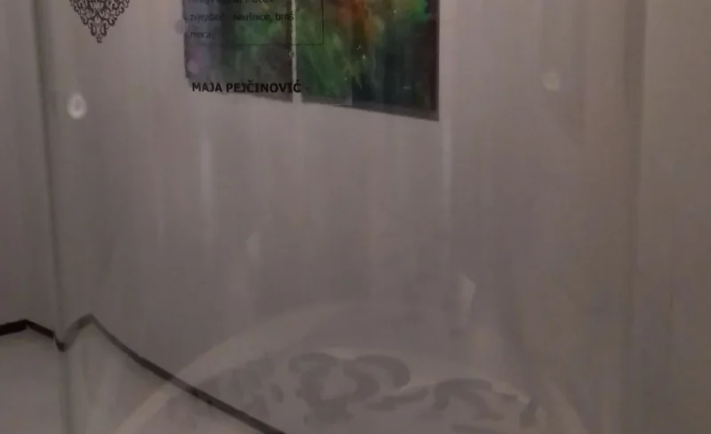 Maja Pejčinović