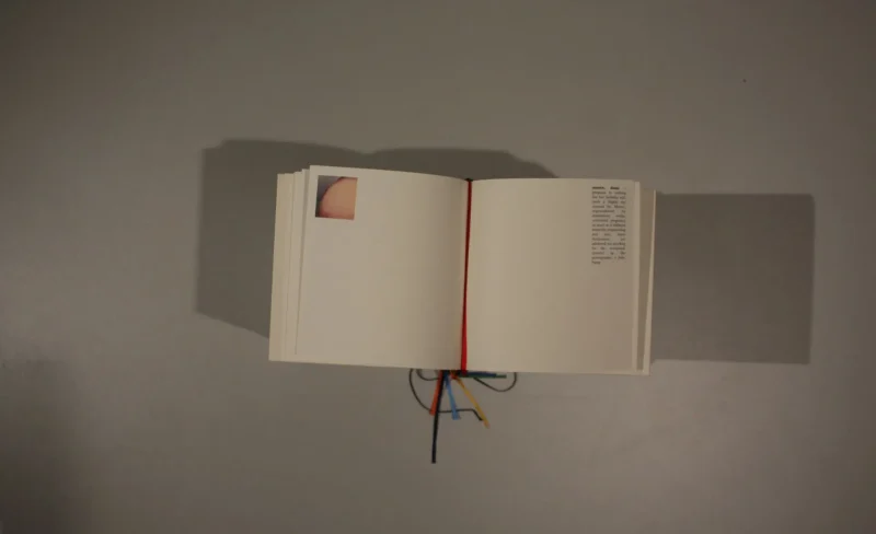 Kate Howlett-Jones - A Pocket Dictionary of the World’s Most Iconic Photographs
