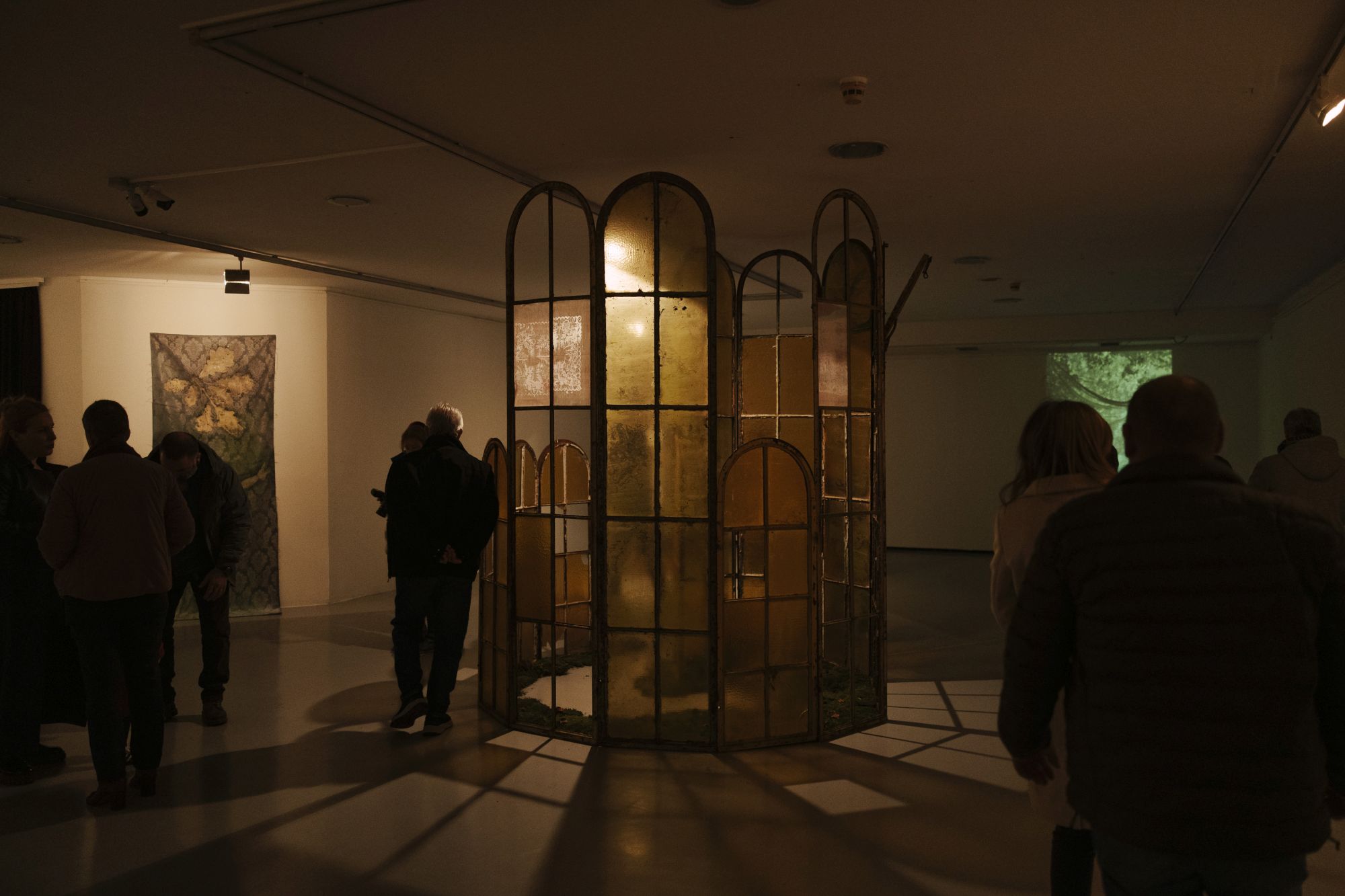 Darija Žmak Kunić: Šuma u meni